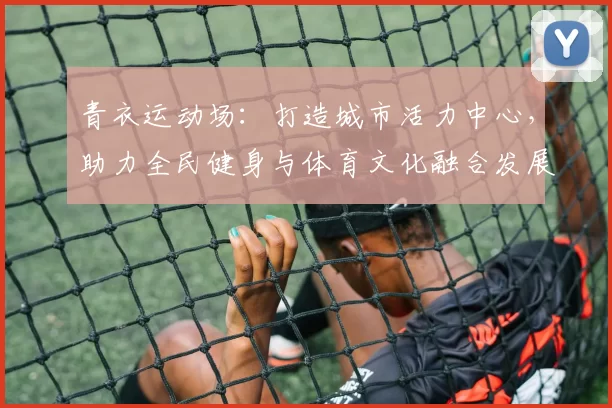 青衣运动场：打造城市活力中心，助力全民健身与体育文化融合发展