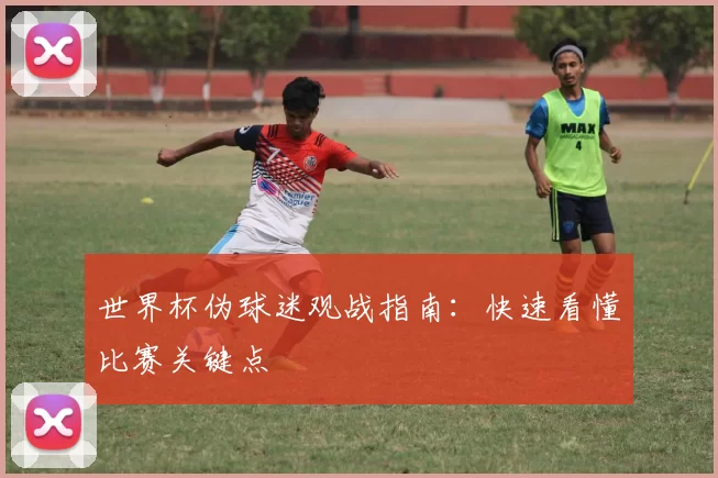 世界杯伪球迷观战指南:快速看懂比赛关键点