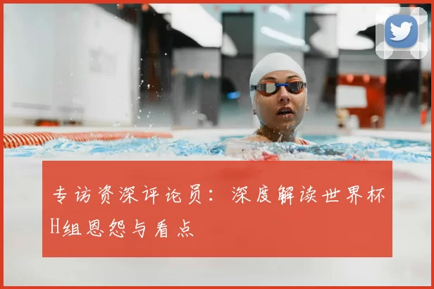 专访资深评论员:深度解读世界杯H组恩怨与看点