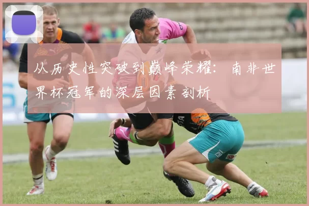 从历史性突破到巅峰荣耀：南非世界杯冠军的深层因素剖析