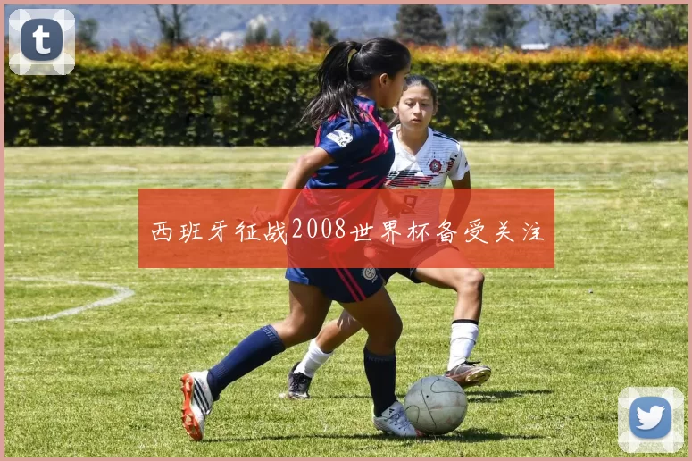 西班牙征战2008世界杯备受关注