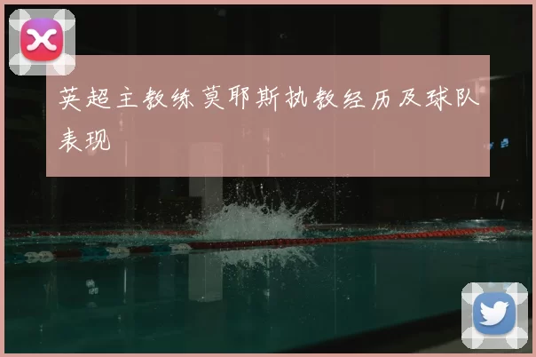 英超主教练莫耶斯执教经历及球队表现