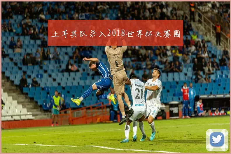 土耳其队杀入2018世界杯决赛圈