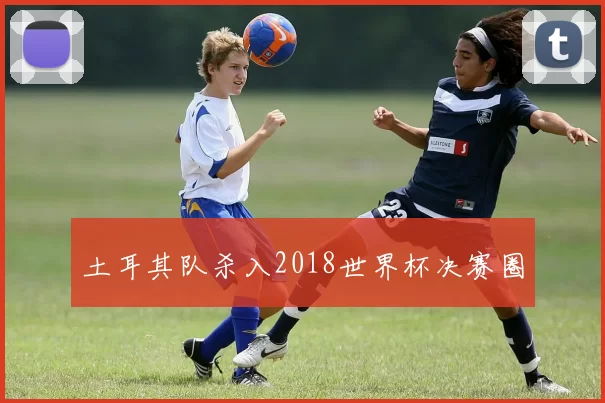 土耳其队杀入2018世界杯决赛圈