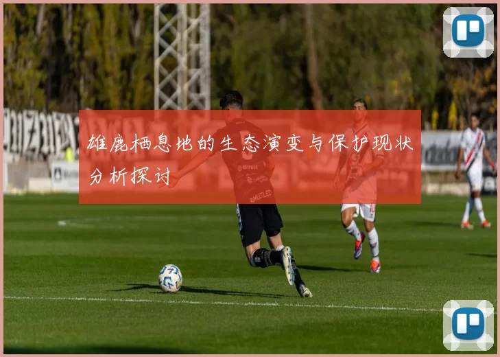 雄鹿栖息地的生态演变与保护现状分析探讨