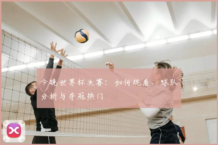 今晚世界杯决赛:如何观看、球队分析与夺冠热门