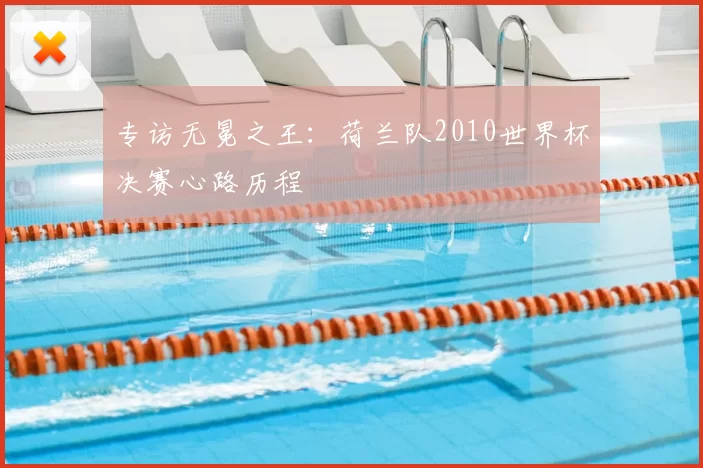专访无冕之王:荷兰队2010世界杯决赛心路历程