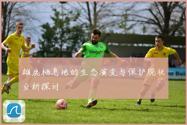 雄鹿栖息地的生态演变与保护现状分析探讨
