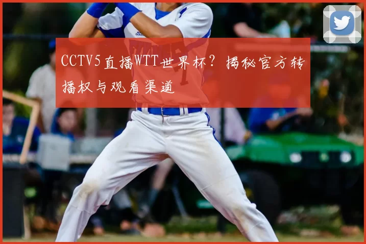 CCTV5直播WTT世界杯?揭秘官方转播权与观看渠道