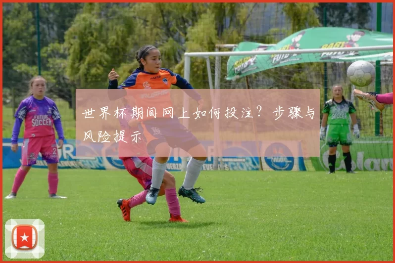世界杯期间网上如何投注?步骤与风险提示