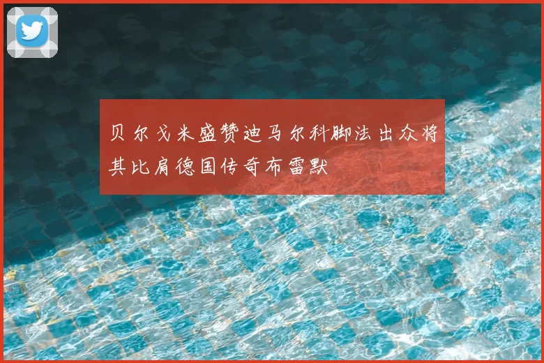 贝尔戈米盛赞迪马尔科脚法出众将其比肩德国传奇布雷默