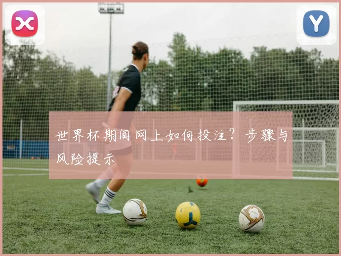 世界杯期间网上如何投注?步骤与风险提示