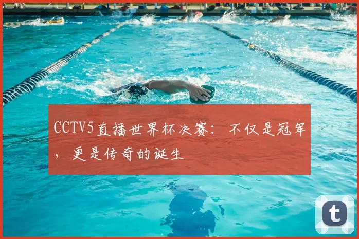 CCTV5直播世界杯决赛:不仅是冠军,更是传奇的诞生