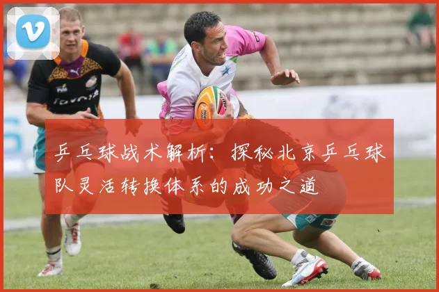 乒乓球战术解析：探秘北京乒乓球队灵活转换体系的成功之道