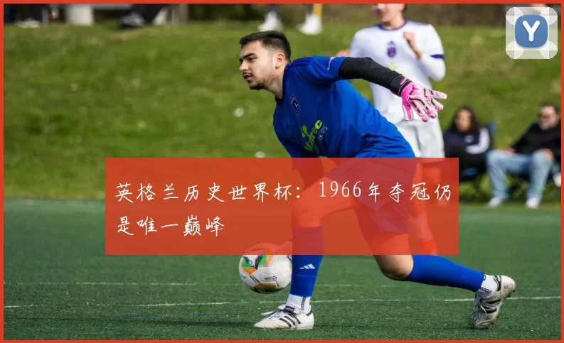 英格兰历史世界杯：1966年夺冠仍是唯一巅峰