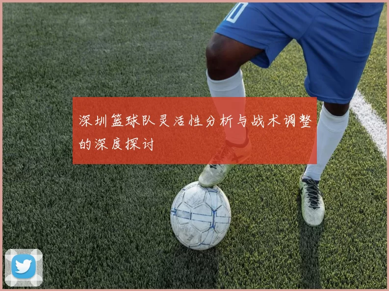 深圳篮球队灵活性分析与战术调整的深度探讨