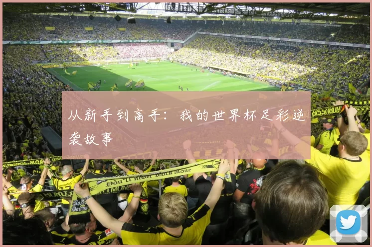 从新手到高手:我的世界杯足彩逆袭故事
