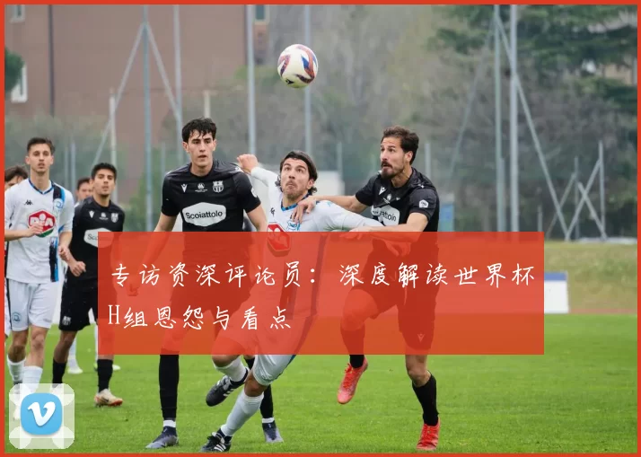 专访资深评论员：深度解读世界杯H组恩怨与看点