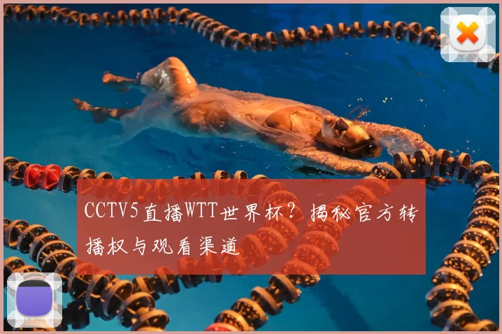 CCTV5直播WTT世界杯?揭秘官方转播权与观看渠道
