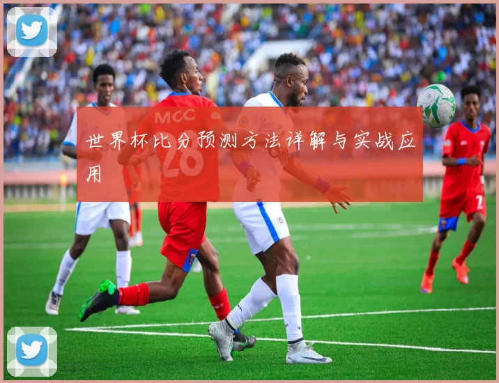 世界杯比分预测方法详解与实战应用